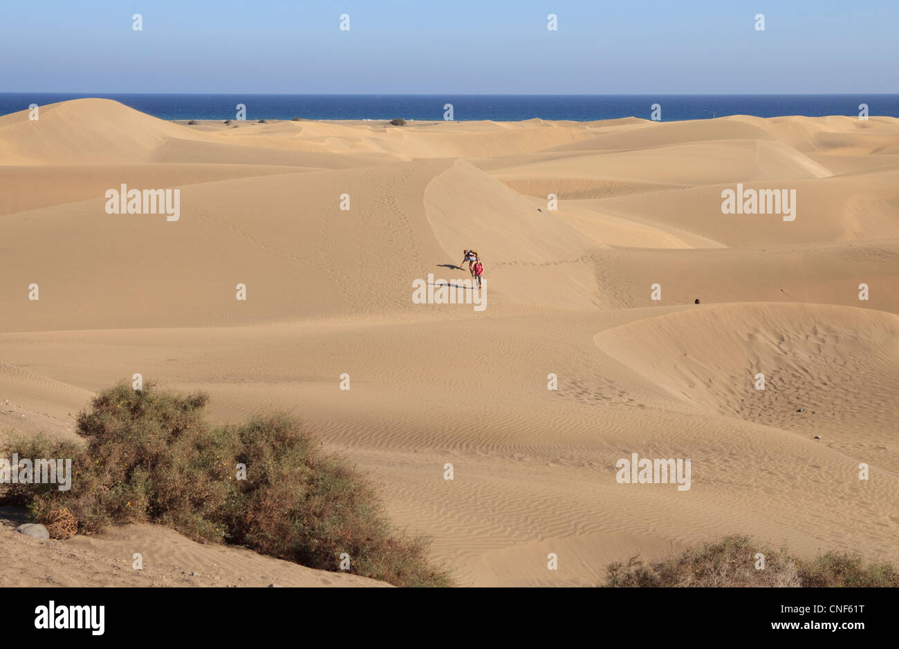 People walking on sand dunes Stock Photo
