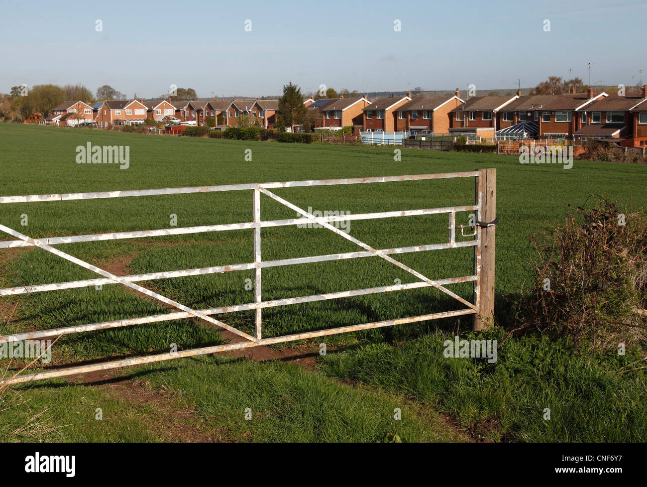Greenbelt land adjacent to a housing estate in the U.K. Stock Photo