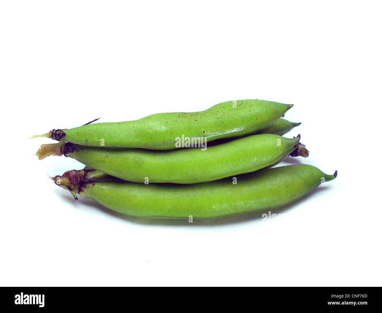 bunch of broad beans on a white background Stock Photo