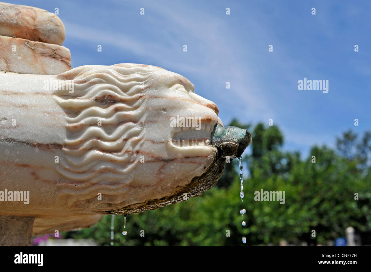 A close-up of a lion’s head spout on a water fountain in Estremoz
