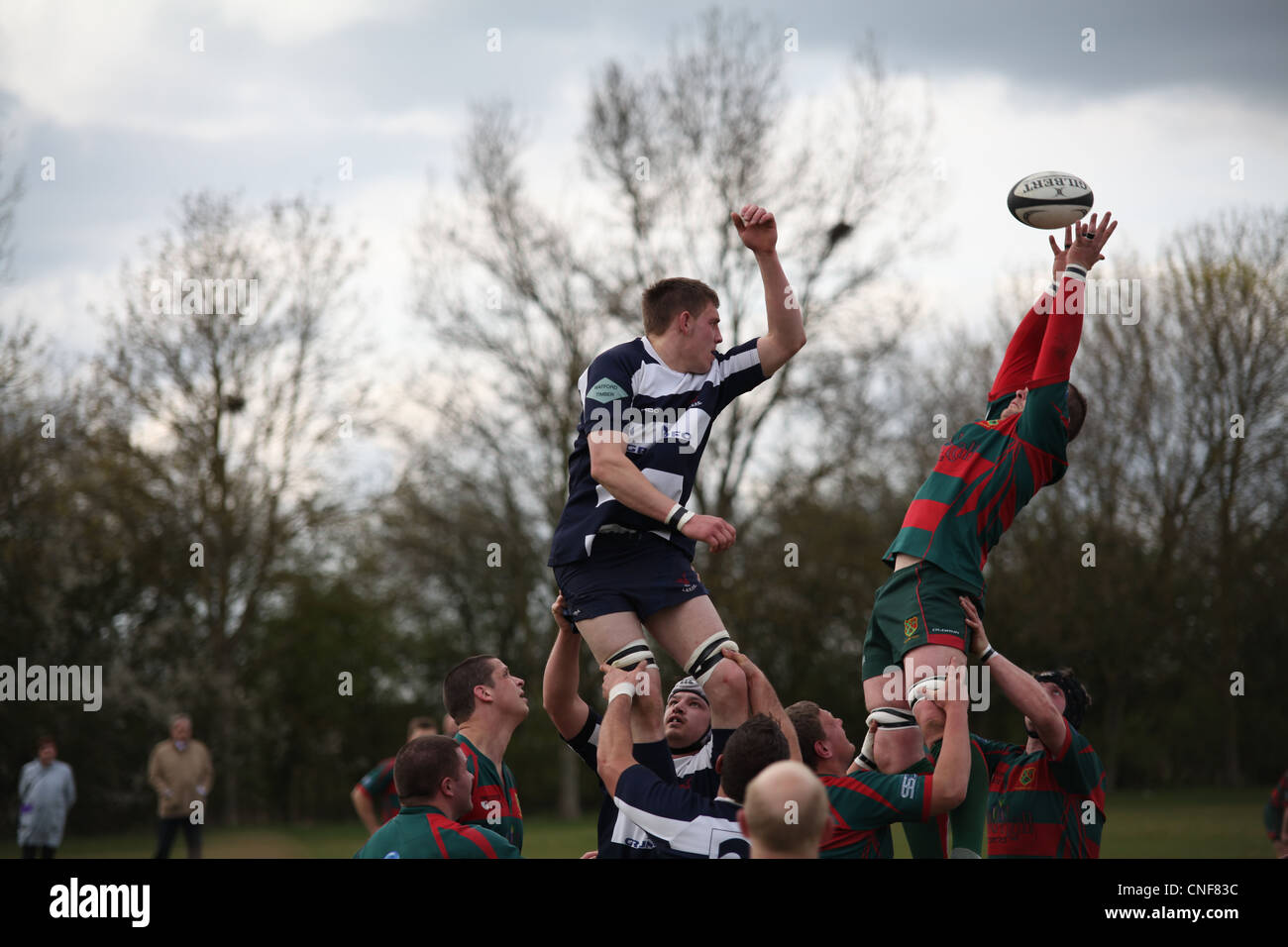 Leighton Buzzard and Paviors rugby players contest a lineout Stock Photo