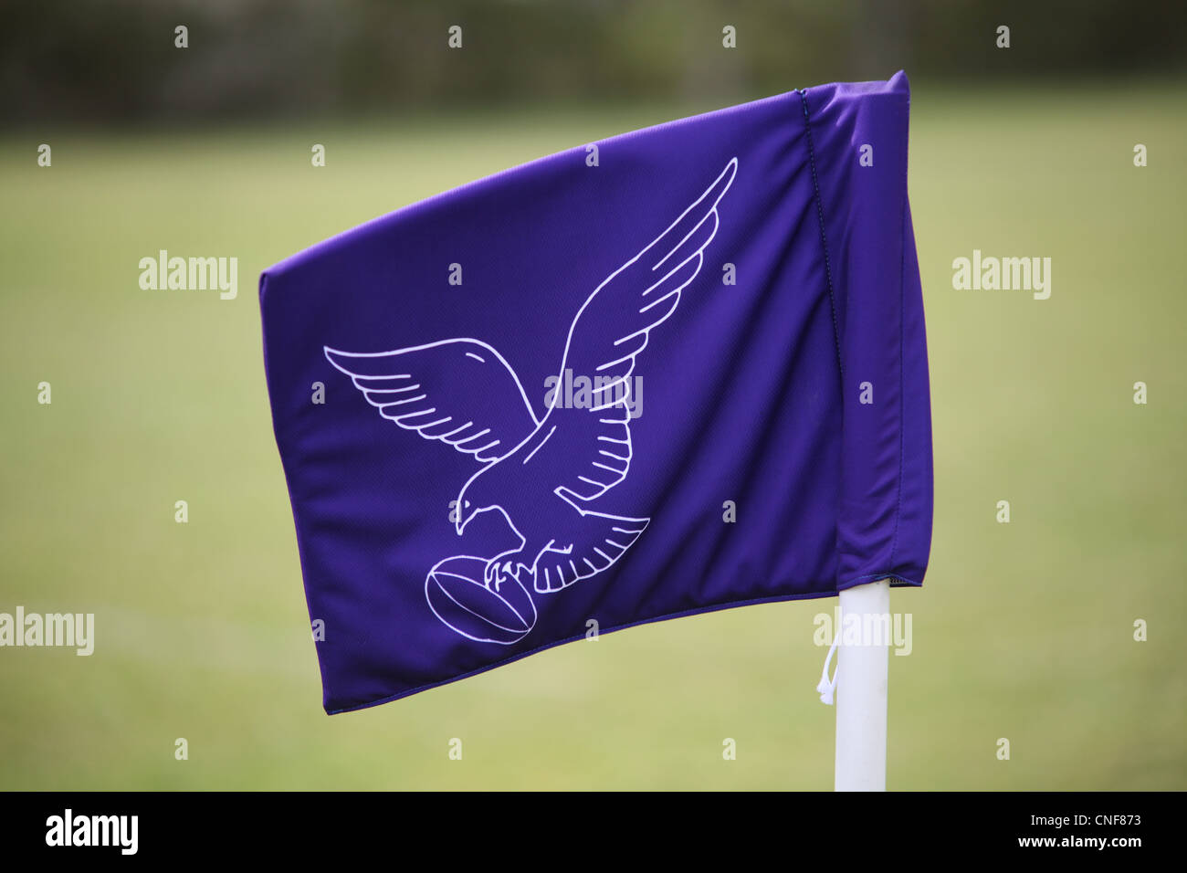 Leighton Buzzard rugby logo on flag showing buzzard and ball Stock Photo