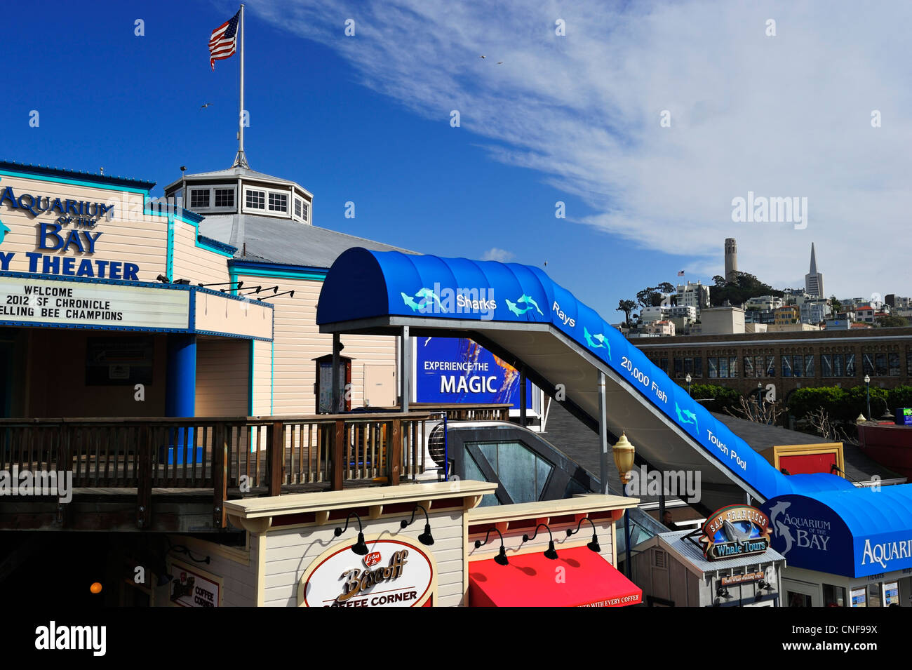 Pier 39 aquarium, san francisco hires stock photography and images Alamy
