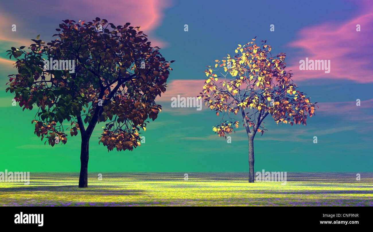 Two trees with colors rainbow on a multicolored landscape Stock Photo ...