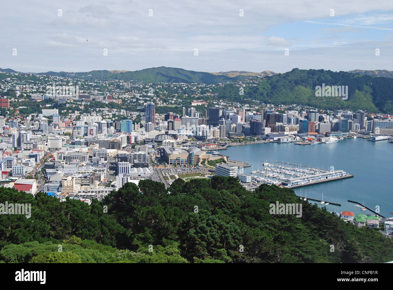 View of city and harbour from Mount Victoria Lookout, Wellington, Wellington Region, North Island, New Zealand Stock Photo