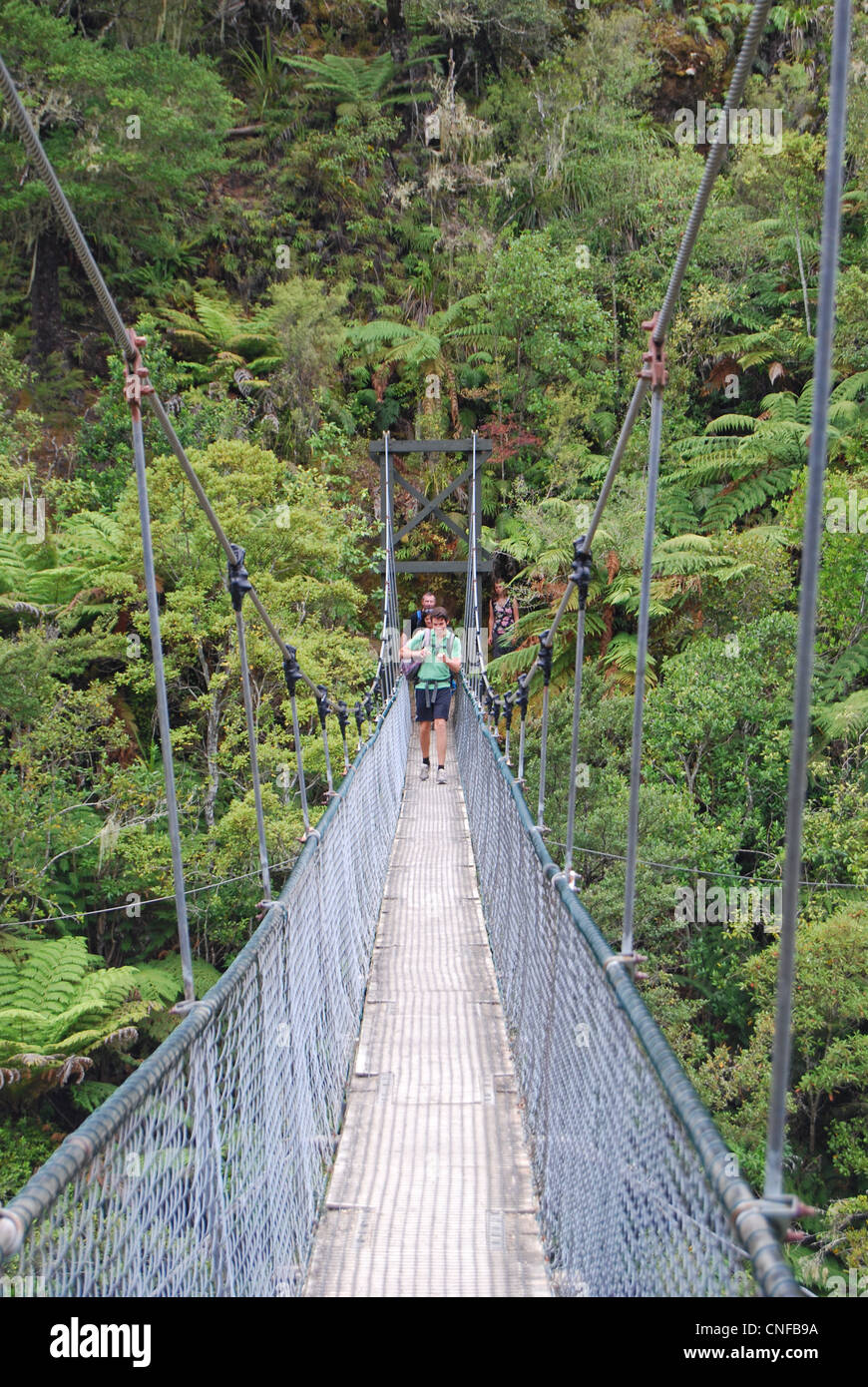 The Buller Gorge Swingbridge Adventure & Heritage Park, Upper Buller Gorge, Murchison, Tasman, South Island, New Zealand Stock Photo