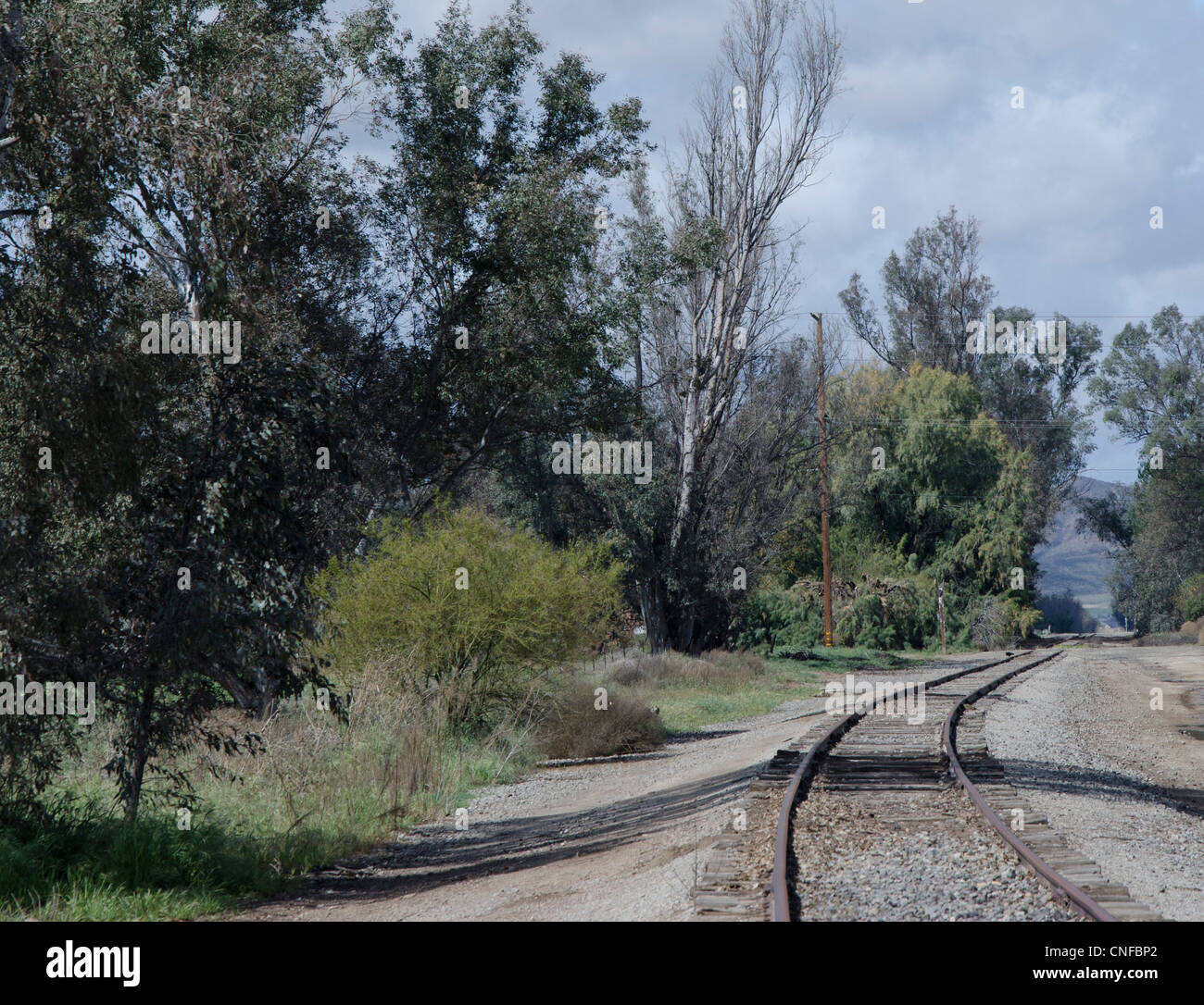 Old, abandoned railroad tracks curve through and disappear beyond a