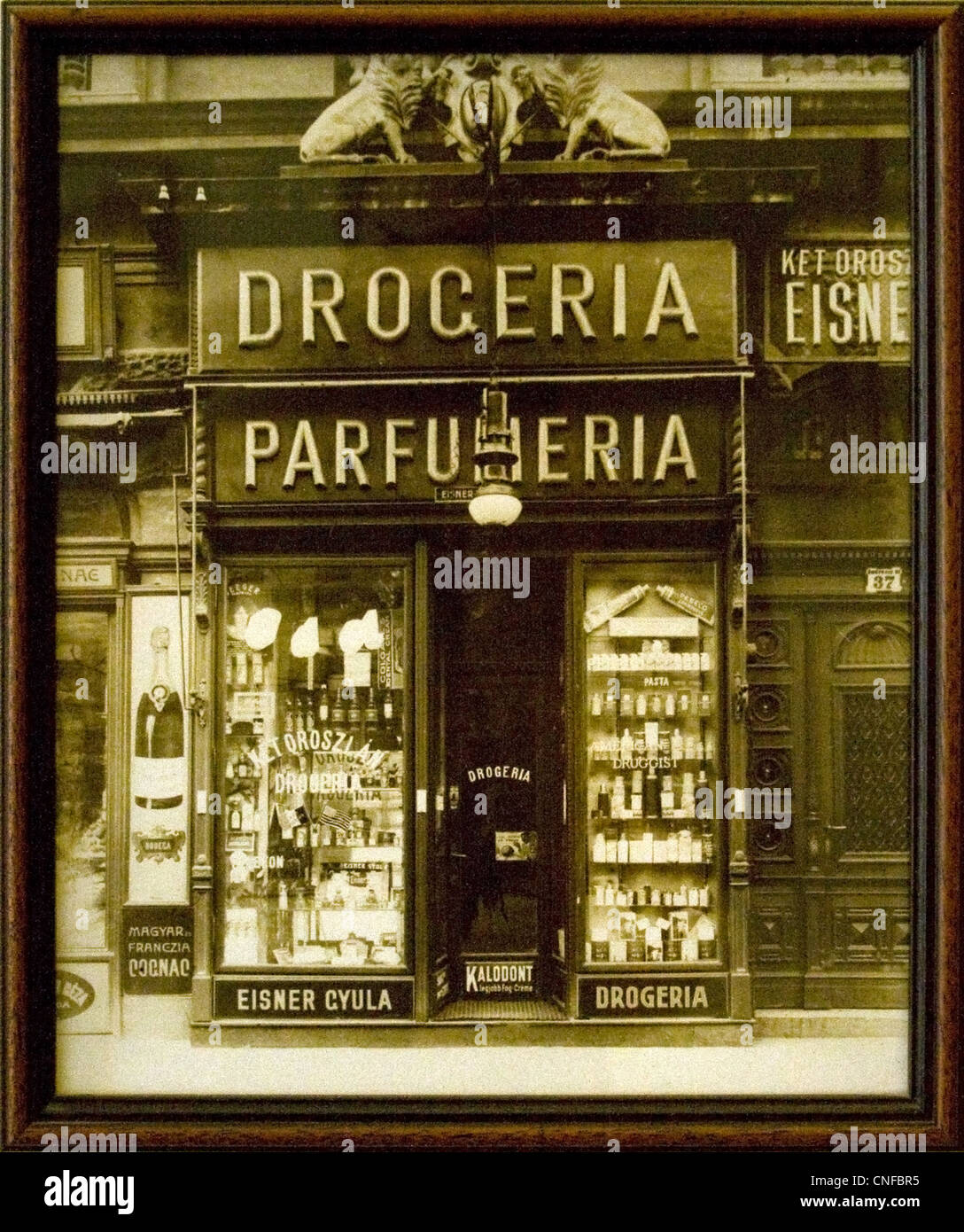 The Two Lions Perfumery is a historical exhibit located at the Kiscelli Museum in Budapest, Hungary. The museum is home to a rich collection of items related to the history of perfumery, including bottles, packaging, and related artifacts from the perfume industry. This display offers insight into the cultural and artistic significance of fragrance throughout history. Stock Photo