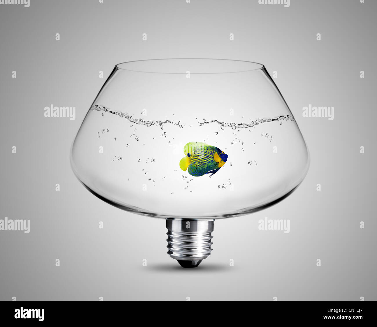 light bulb made from fish bowl, light bulb conceptual Image Stock Photo