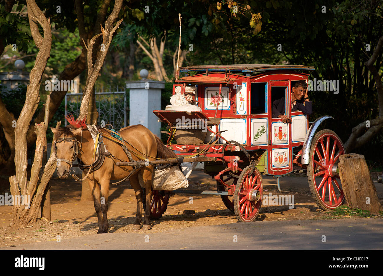 Local horsedrawn transport at Pyin U Lwin, Central Burma - a colonial relic. Myanmar. MODEL RELEASED Stock Photo