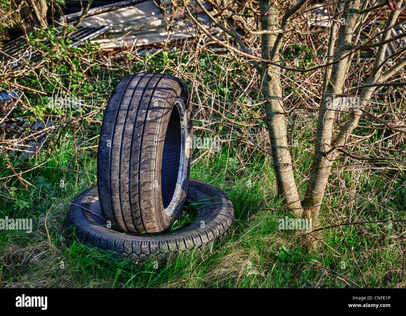 Dumped car tyres abandoned in overgrown field Stock Photo