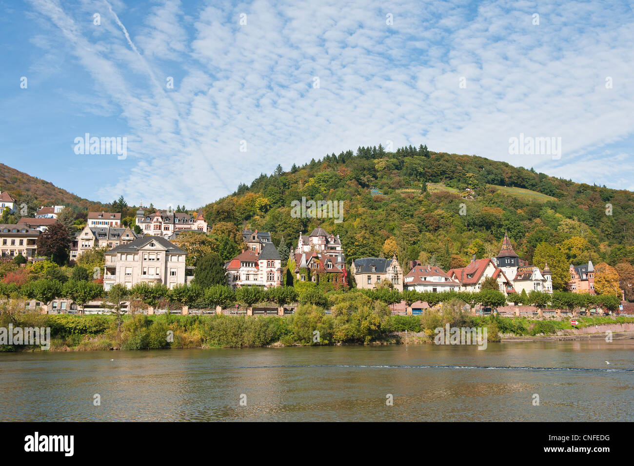 Old Houses lining the north shore of the Neckar River, Heidelberg, Germany. Stock Photo