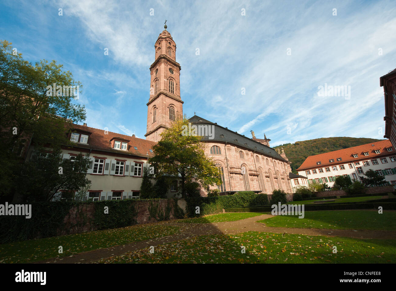Church of the Jesuits in Old Town Heidelberg, Germany Stock Photo - Alamy