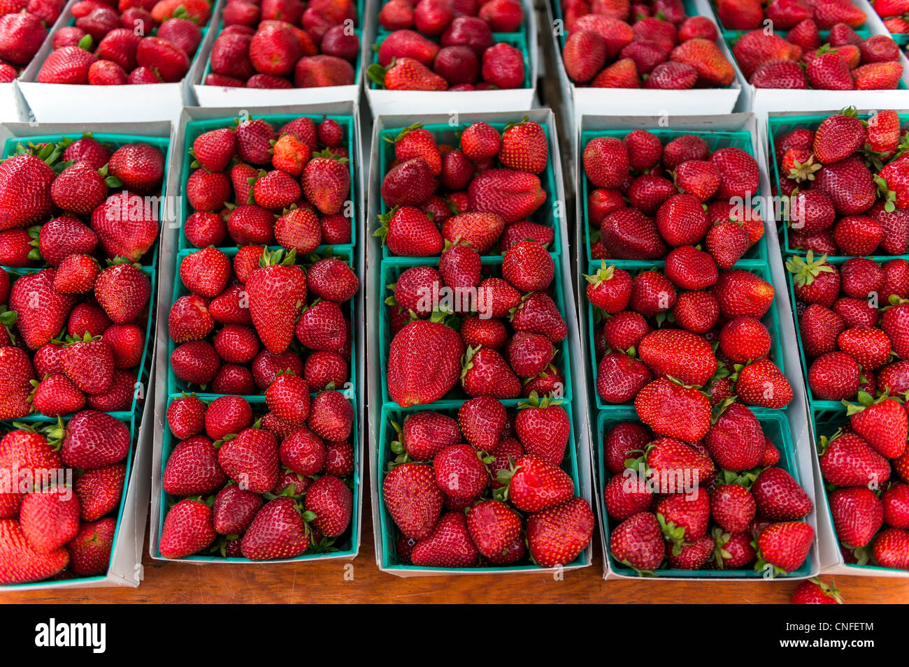A display of fresh organic strawberries in crates for sale at the Santa