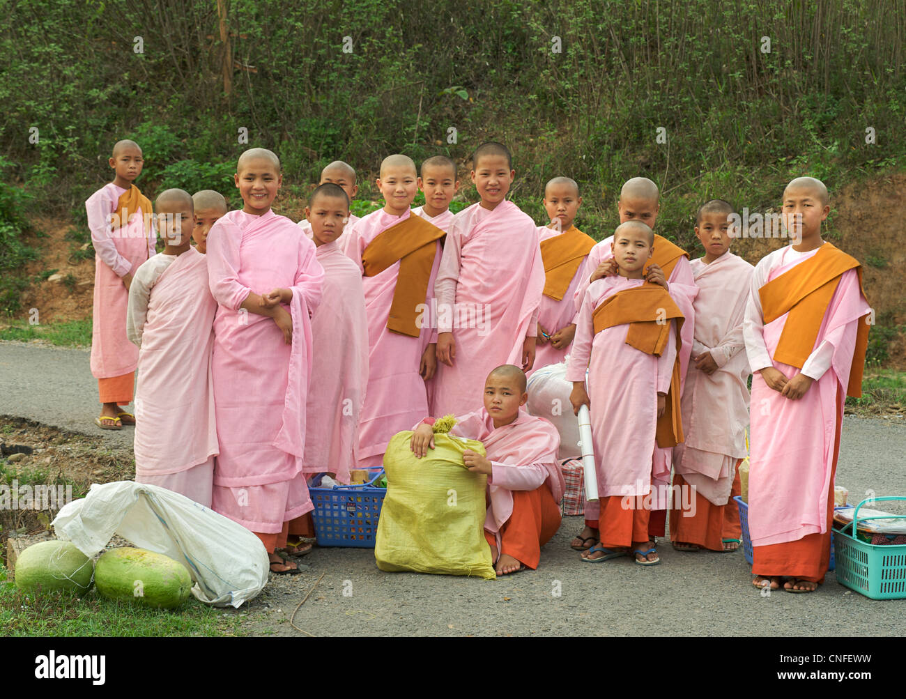 Group of buddhist nuns in pink. Near Hsipaw, Burma. Myanmar Stock Photo
