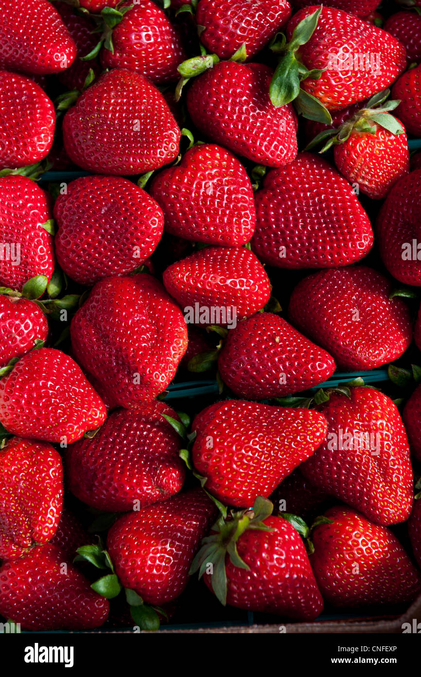 Farmers Market Usa Strawberries High Resolution Stock Photography and ...