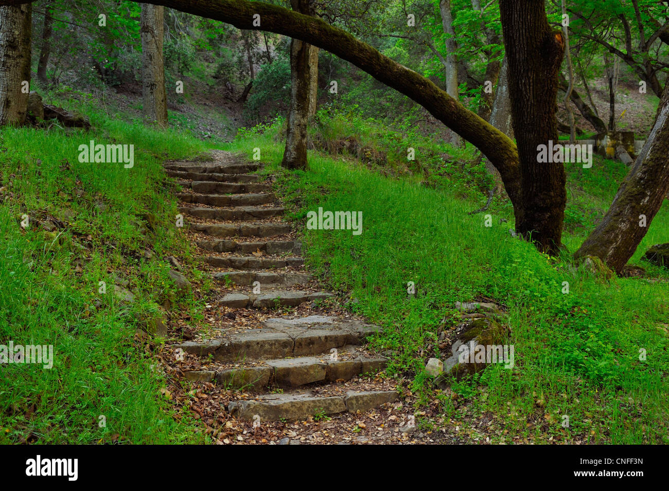Alum rock hires stock photography and images Alamy
