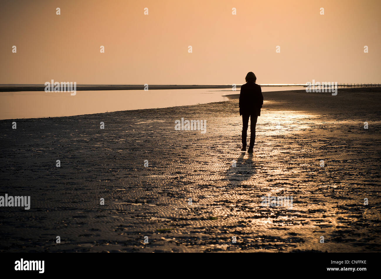 a man walking on the beach Stock Photo - Alamy