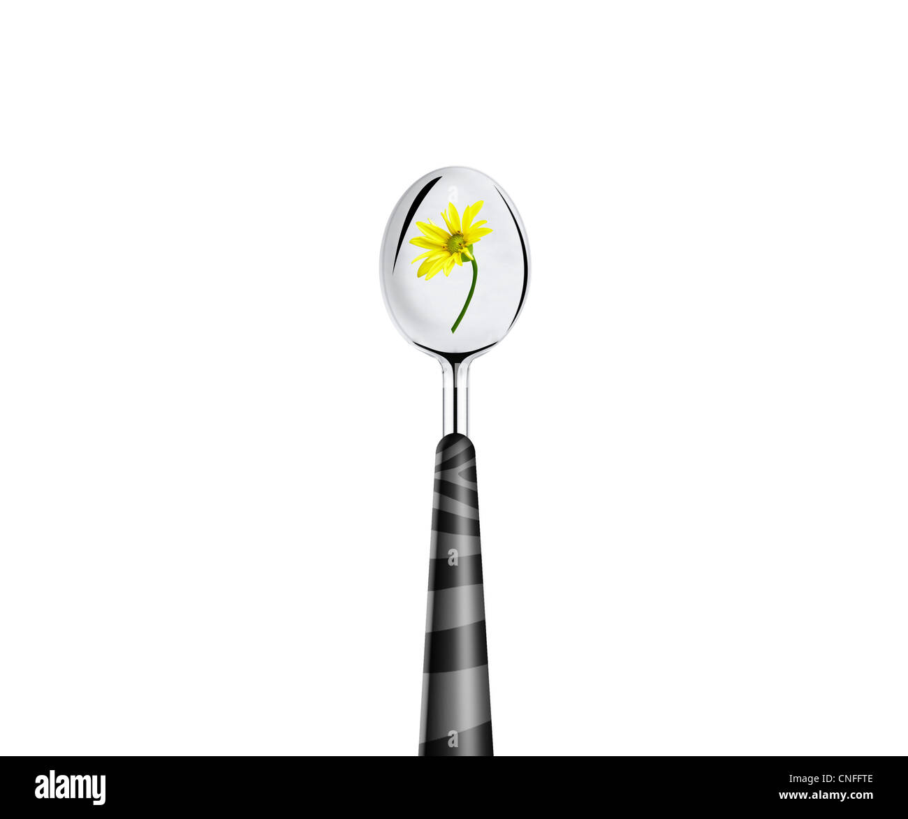 yellow flower and spoon isolated on white background. Stock Photo