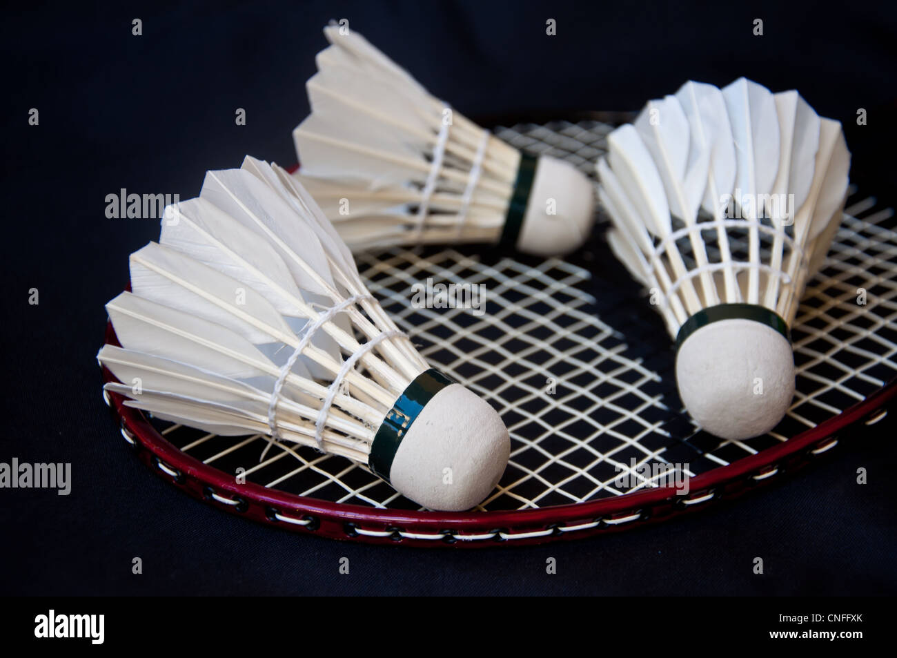 shuttlecock on racket Stock Photo - Alamy