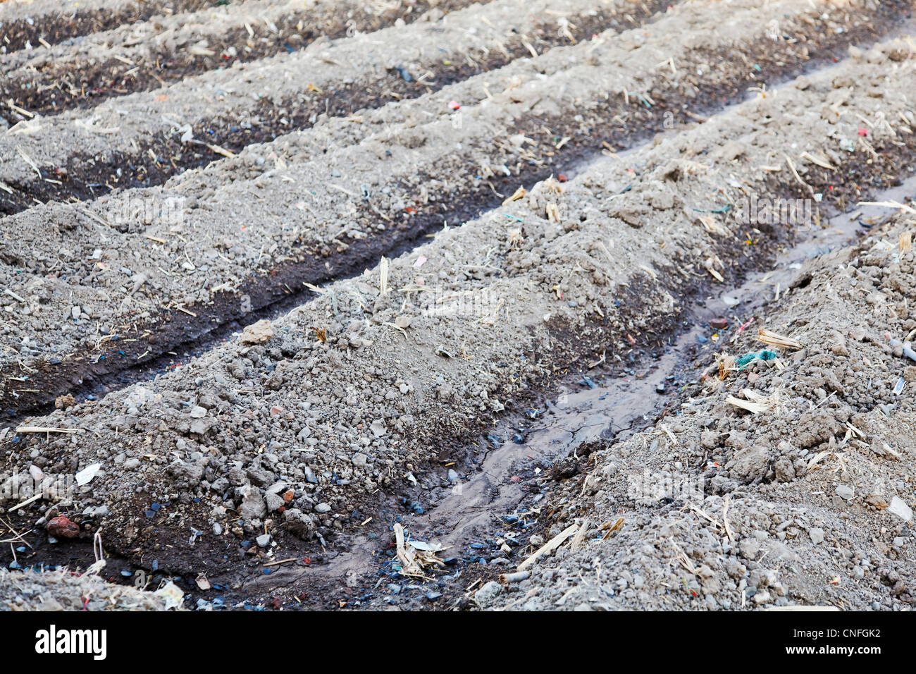 Farmland in the hinterlands of Gujarat India, irrigated, watered and