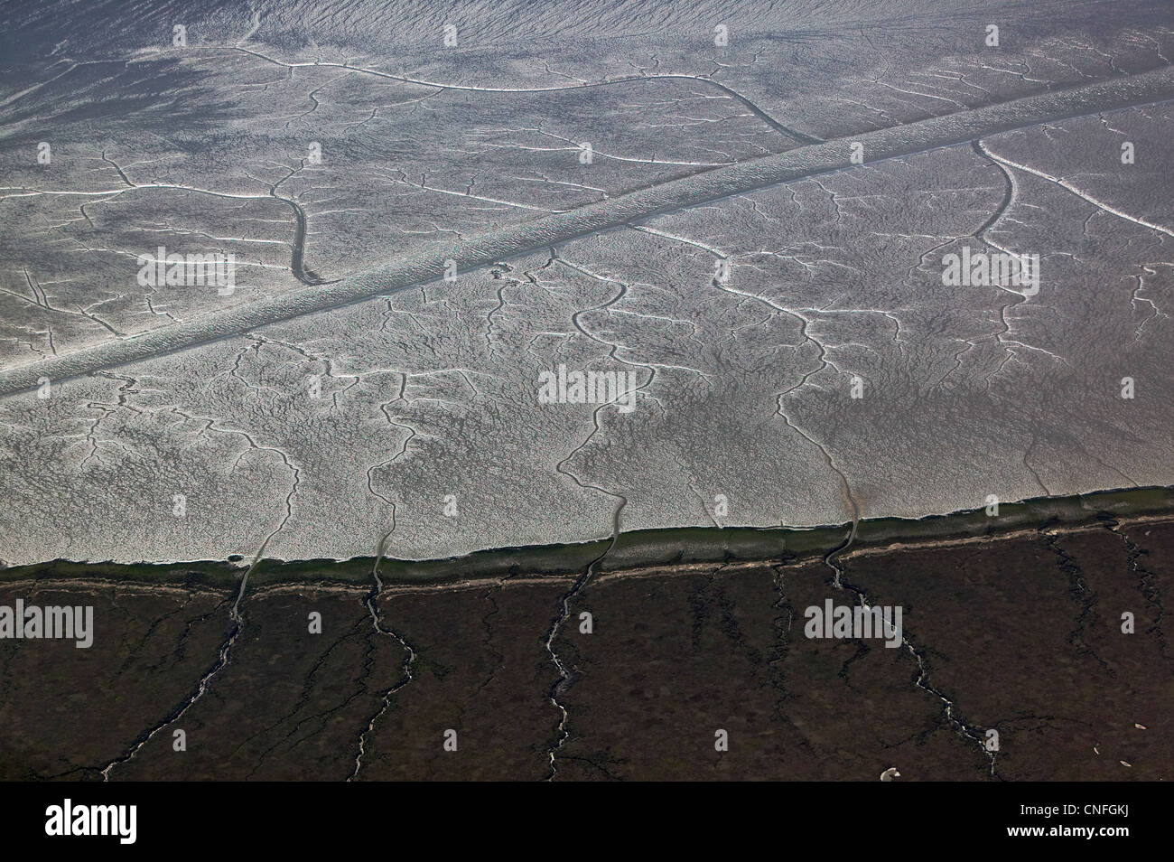 aerial photograph tidal wetlands mud flats San Francisco bay Stock Photo