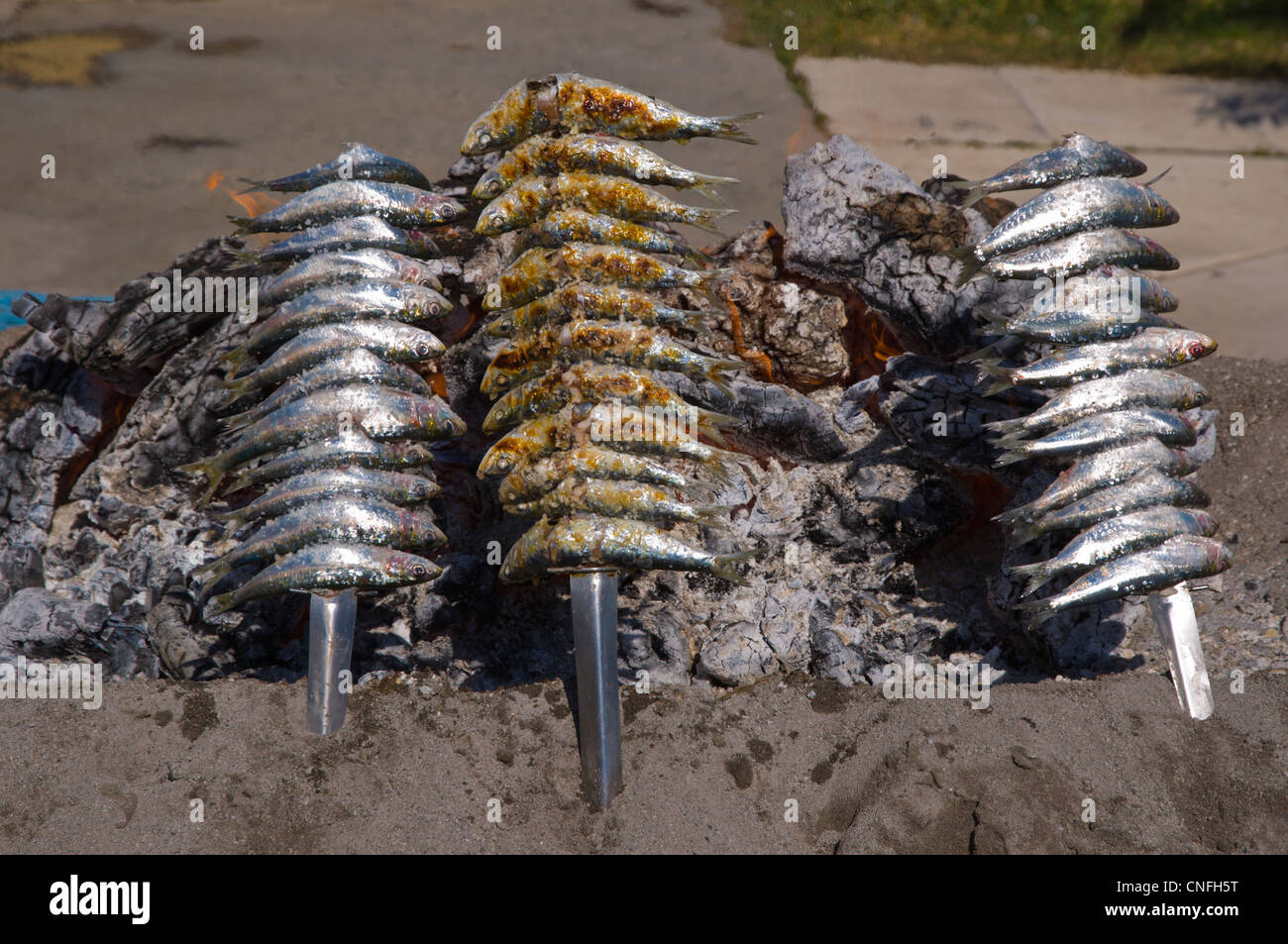 Sardines being grilled in a typical local beach grill Fuengirola city
