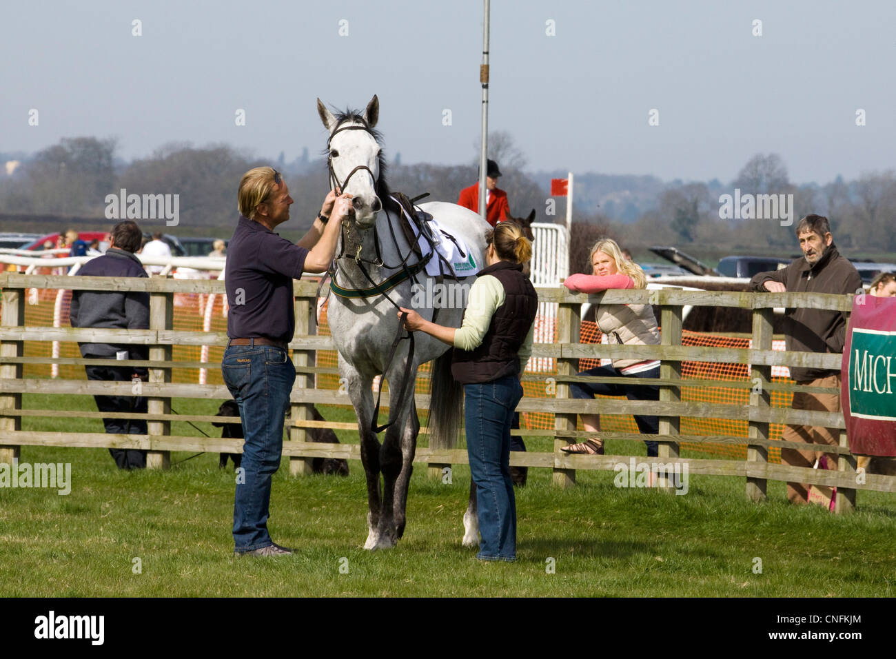 Vet checking horses tong tie hires stock photography and images Alamy