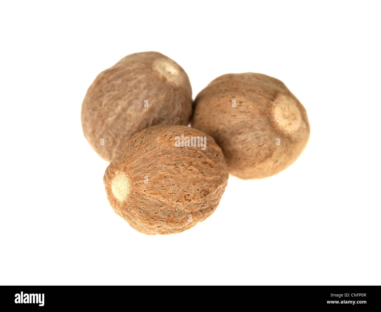 Nutmeg hires stock photography and images Alamy