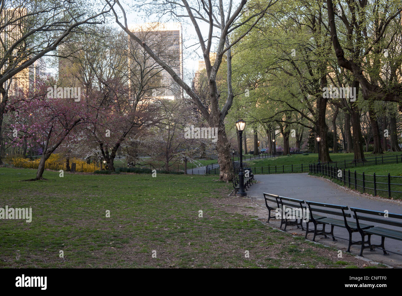 Central Park, New York City early morning in spring Stock Photo - Alamy