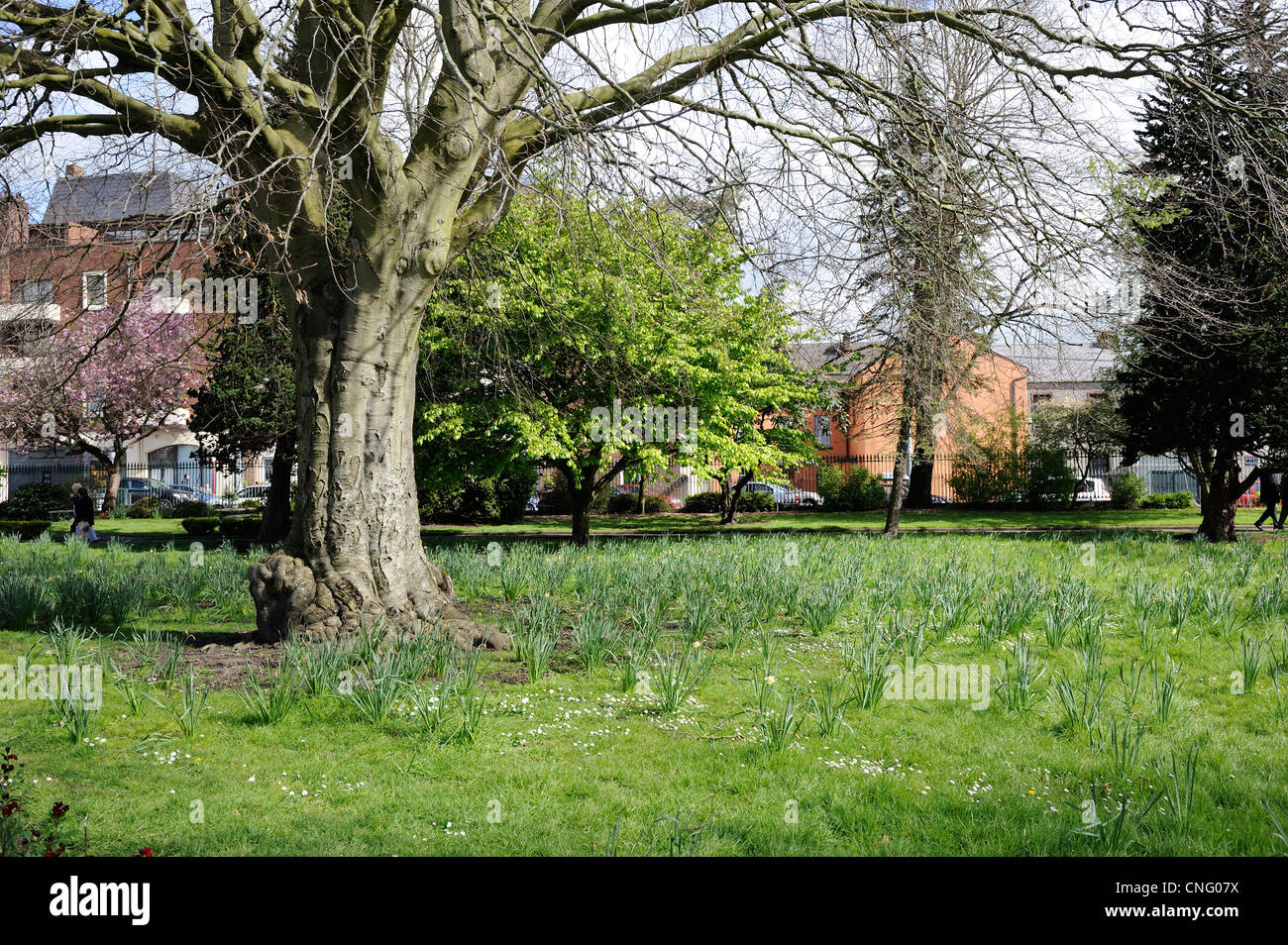 People's Park, Limerick City, Limerick, Ireland Stock Photo Alamy