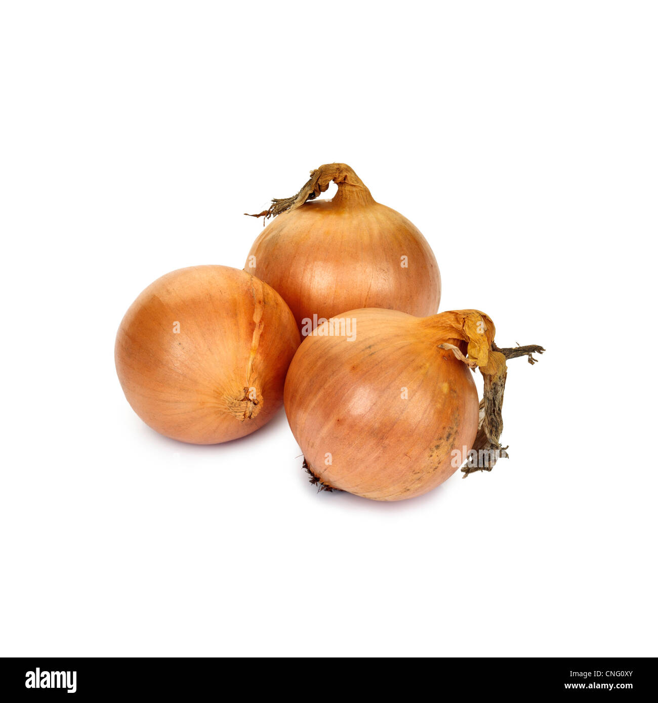 Studio shot three onions hi-res stock photography and images - Alamy