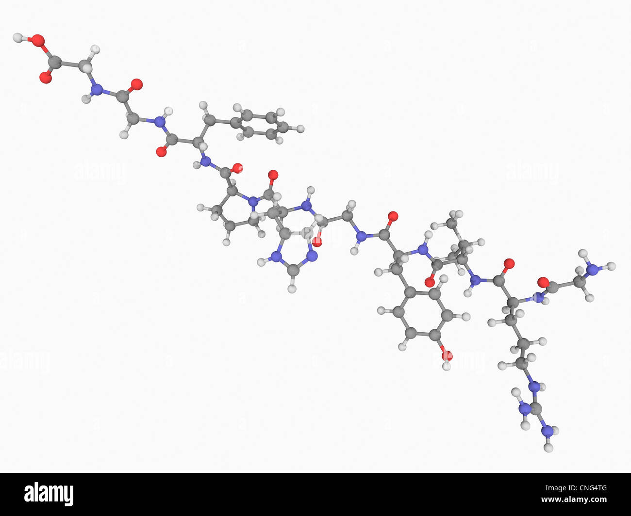 Angiotensin hormone molecule Stock Photo