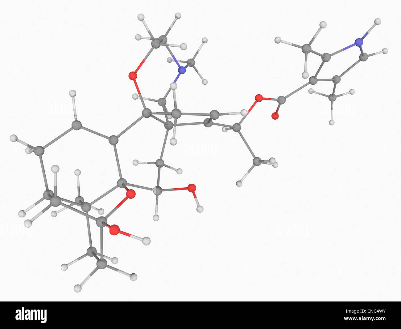 Batrachotoxin poison molecule Stock Photo