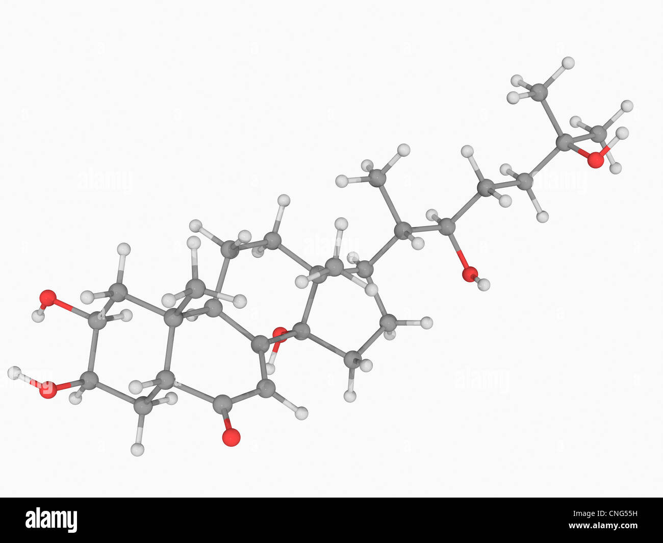 Ecdysone molecule Stock Photo