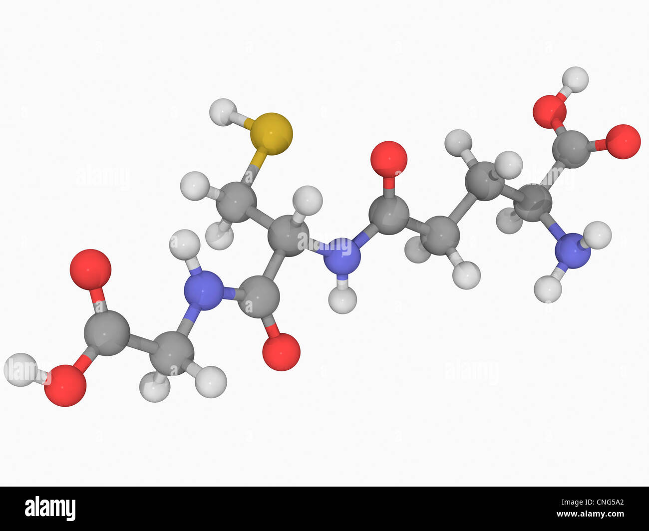 glutathione and amoxicillin The System: A Journey from Cyanobacteria to Higher Eukaryotes For aquarium and ornamental fish only Can I Take Glutathione While