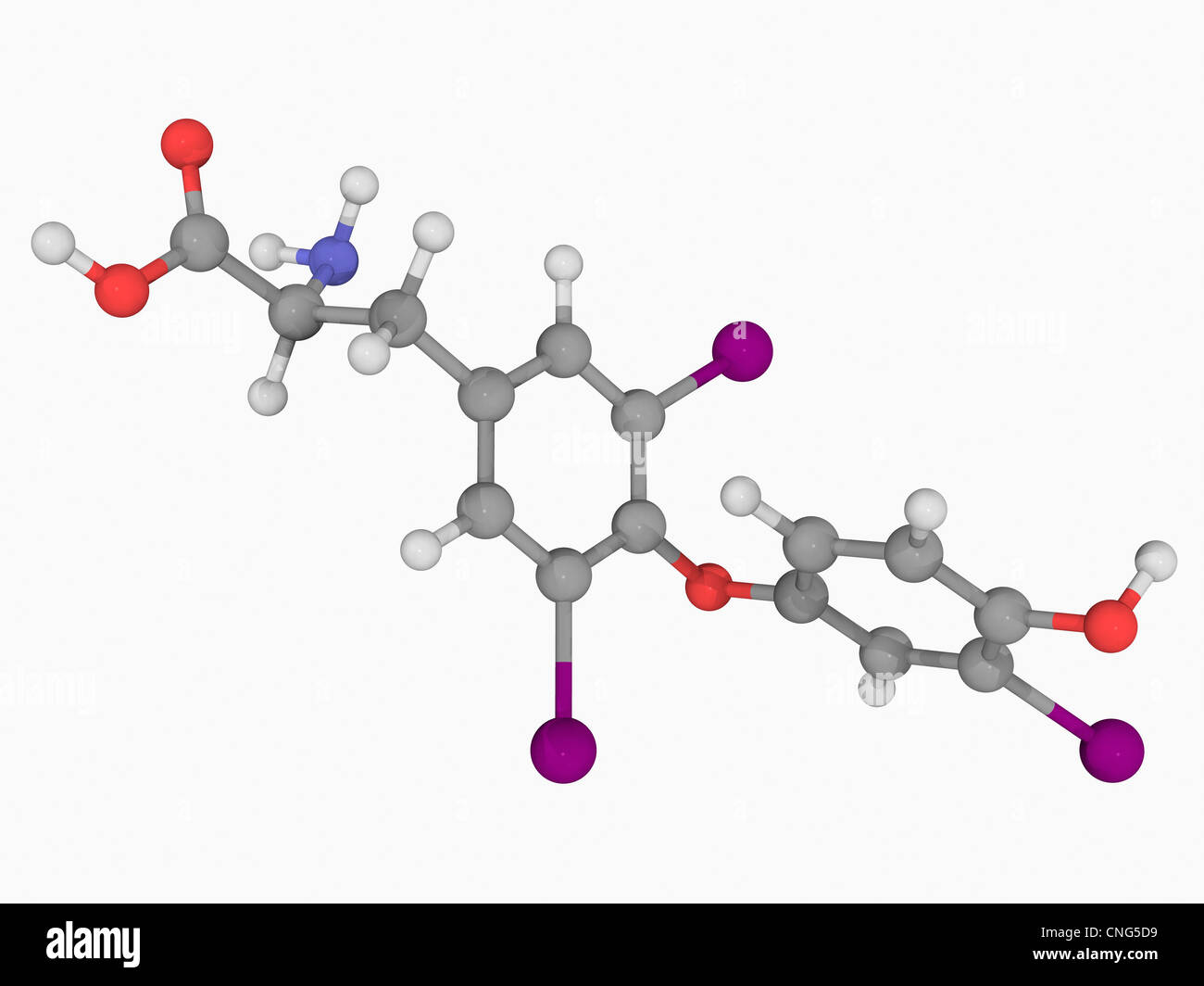Liothyronine hormone molecule Stock Photo Alamy
