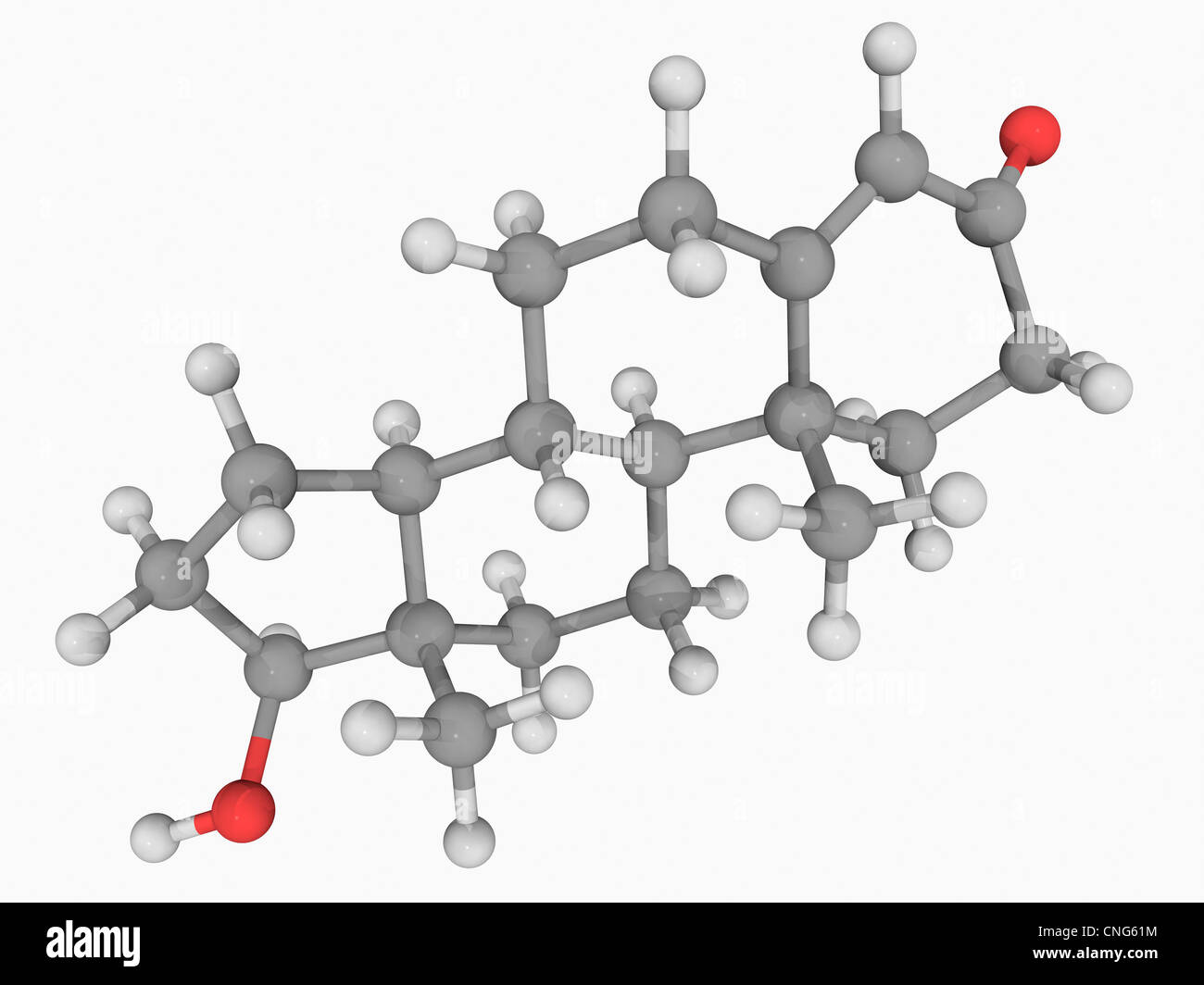 Testosterone hormone molecule Stock Photo Alamy