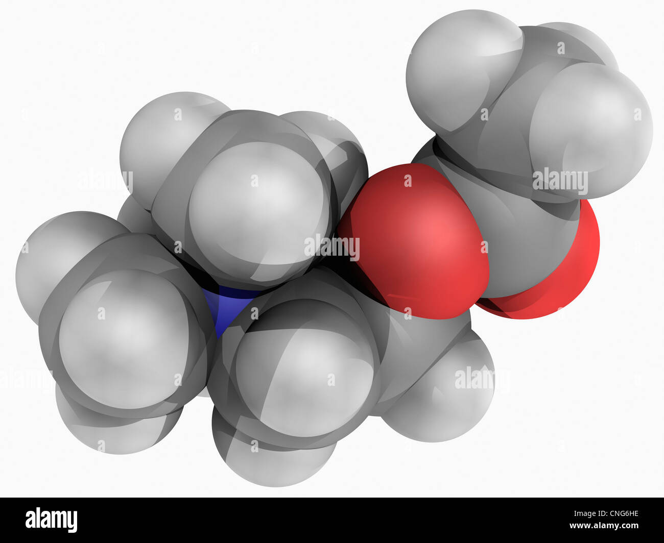 Acetylcholine molecule Stock Photo