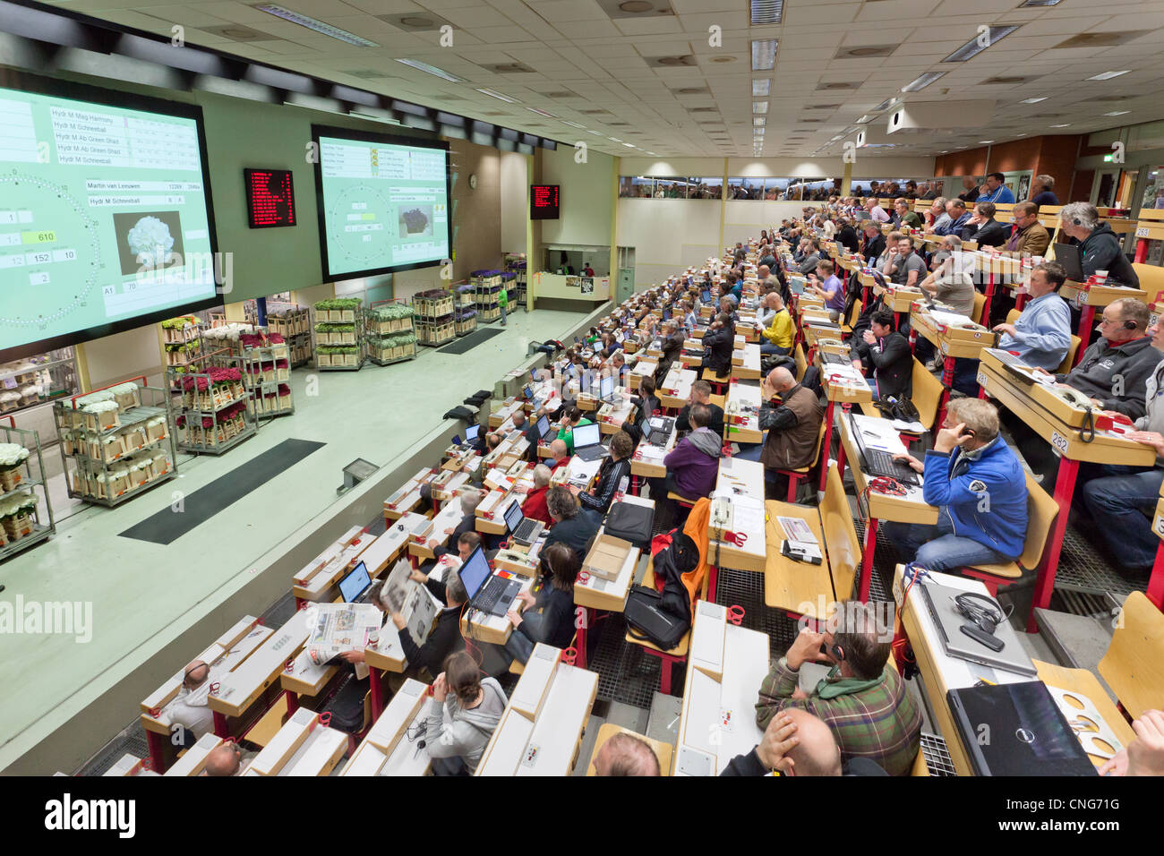 Holland, Aalsmeer, Aalsmeer flower auction, the Dutch Bloemenveiling Aalsmeer. In the auction house. Stock Photo