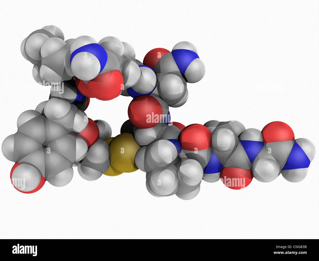 Oxytocin hormone molecule Stock Photo