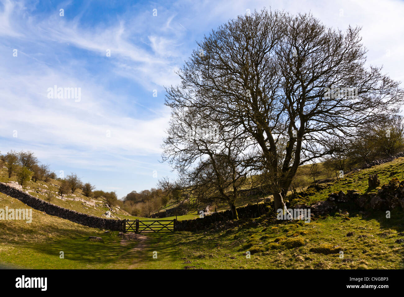 The start of the footpath down Lathkill Dale in the Derbyshire Peak District. Stock Photo