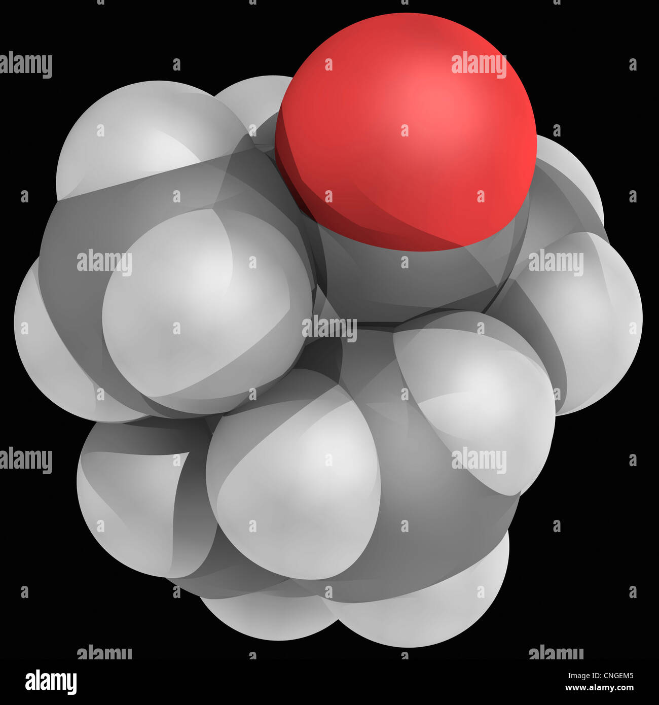 Camphor molecular hires stock photography and images Alamy