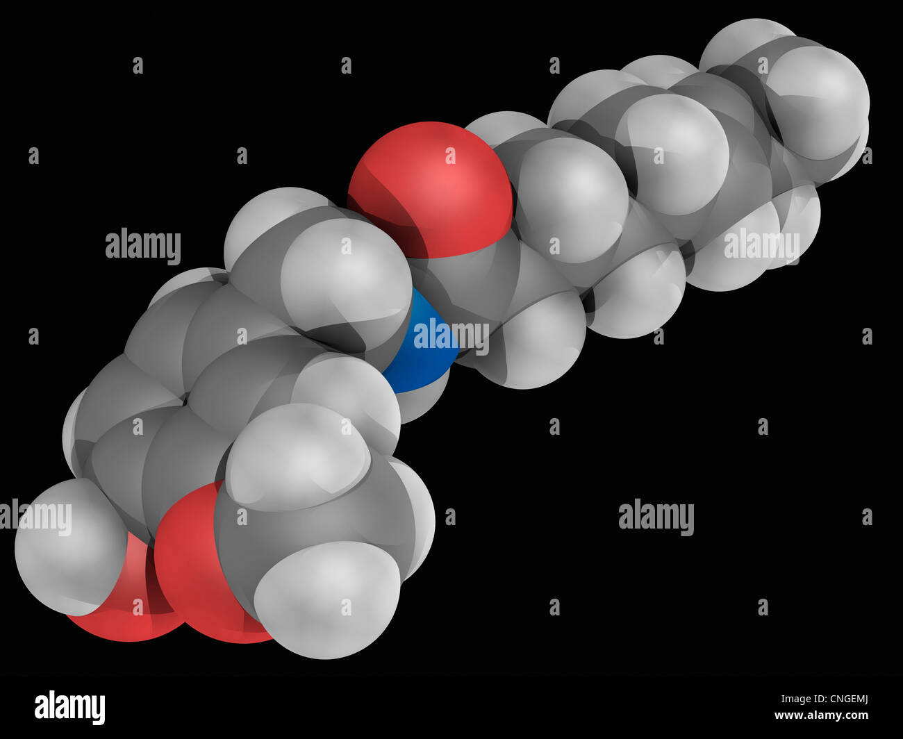 Capsaicin hires stock photography and images Alamy