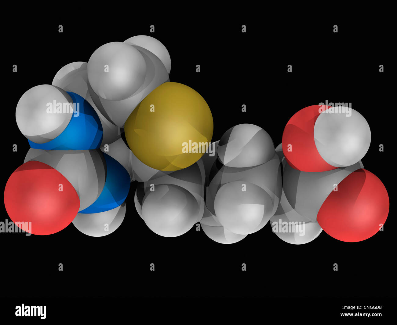 Biotin molecule hi-res stock photography and images - Alamy