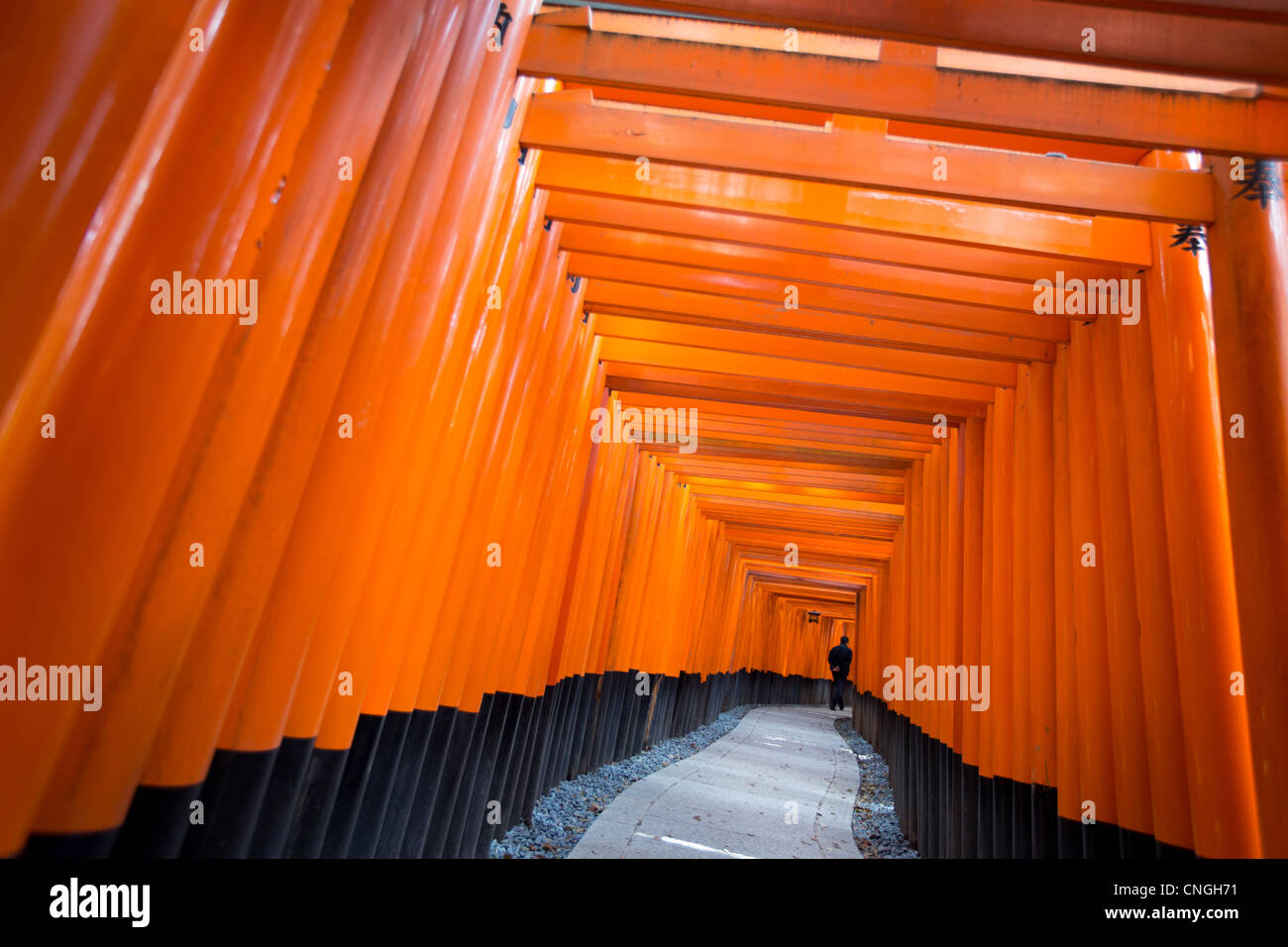 The tunnel and path of red torii gates leading to the Inner Shrine at ...