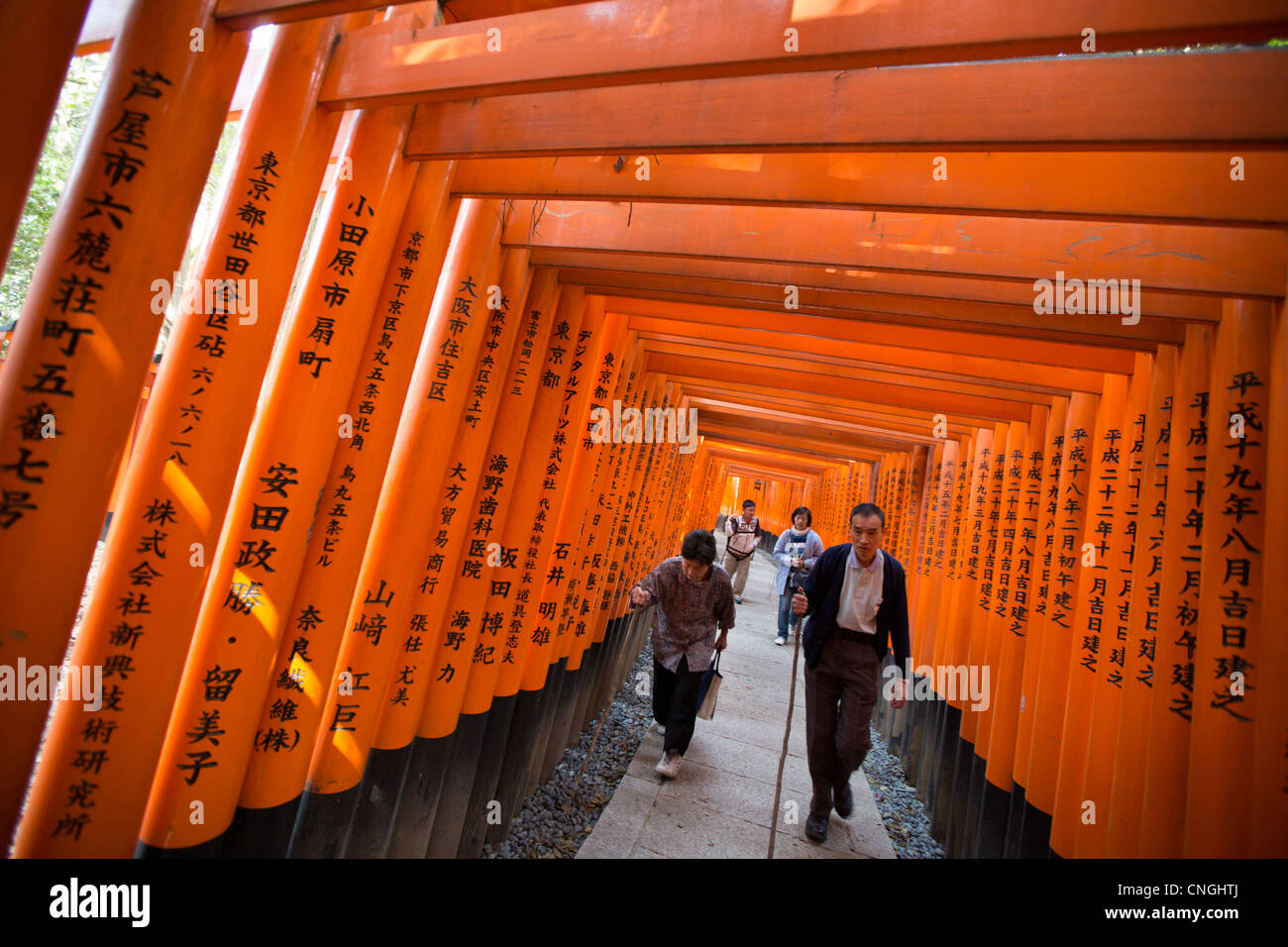 The tunnel and path of red torii gates leading to the Inner Shrine at ...