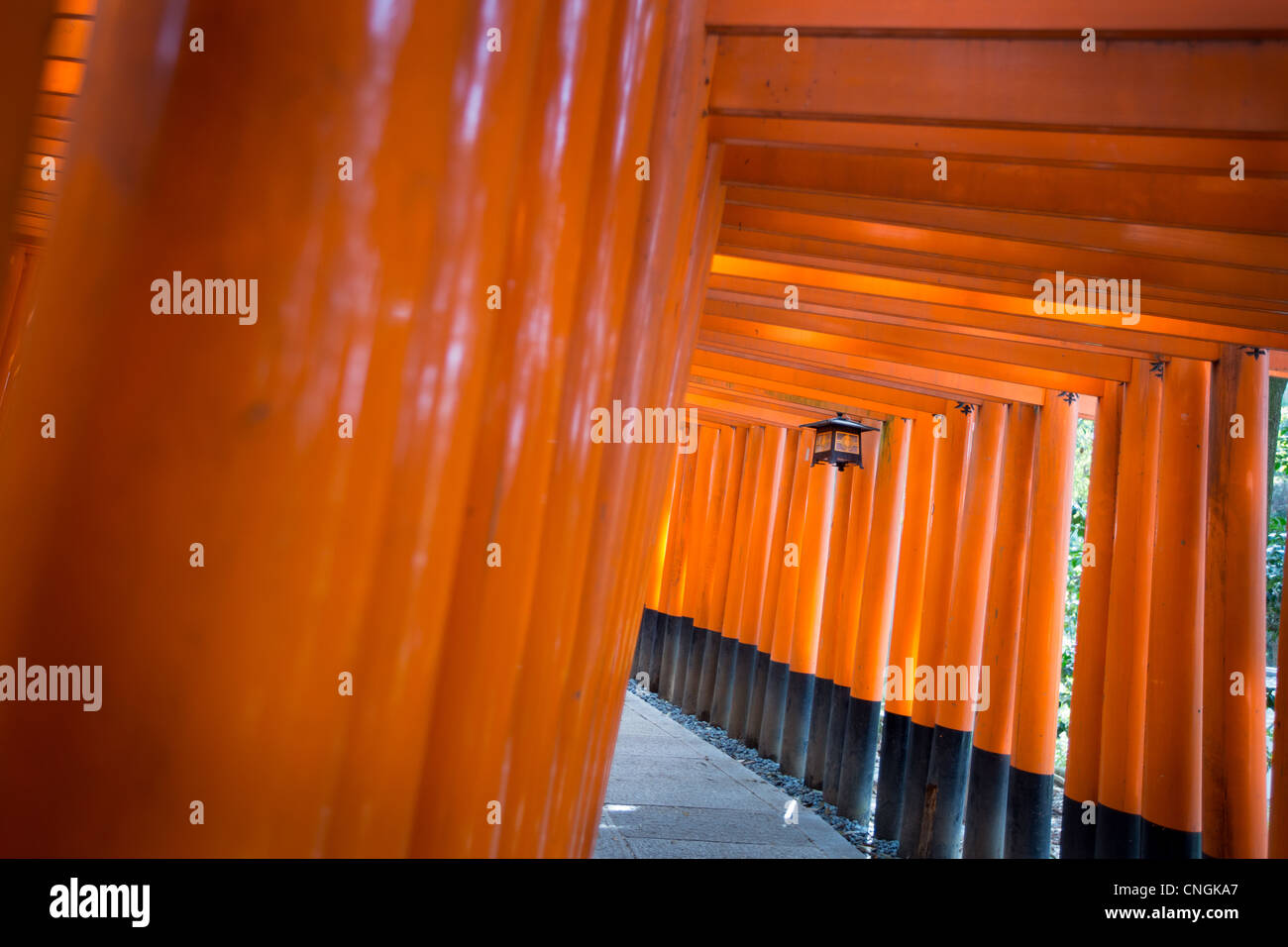 The tunnel and path of red torii gates leading to the Inner Shrine at ...