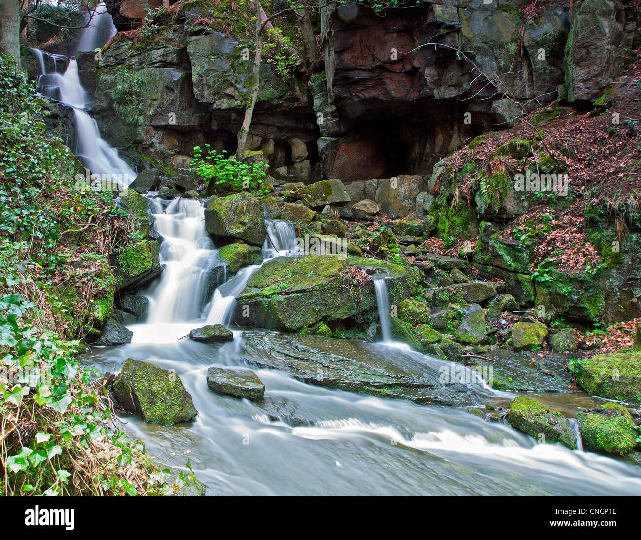 Lumsdale waterfall, Matlock Stock Photo Alamy