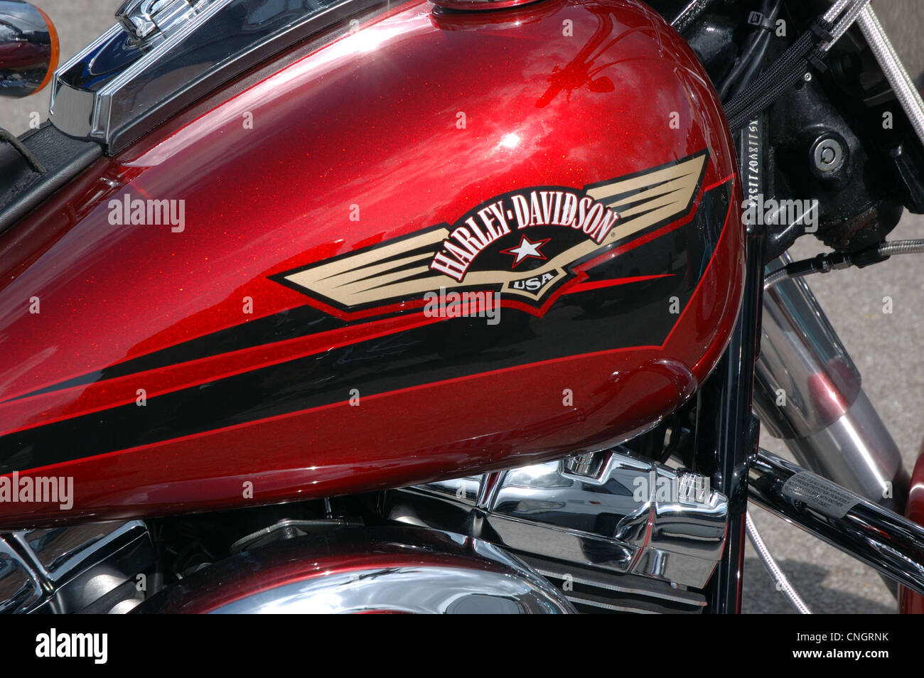 Red harley davidson fuel tank hi-res stock photography and Red harley davidson fuel tank hi-res stock photography and